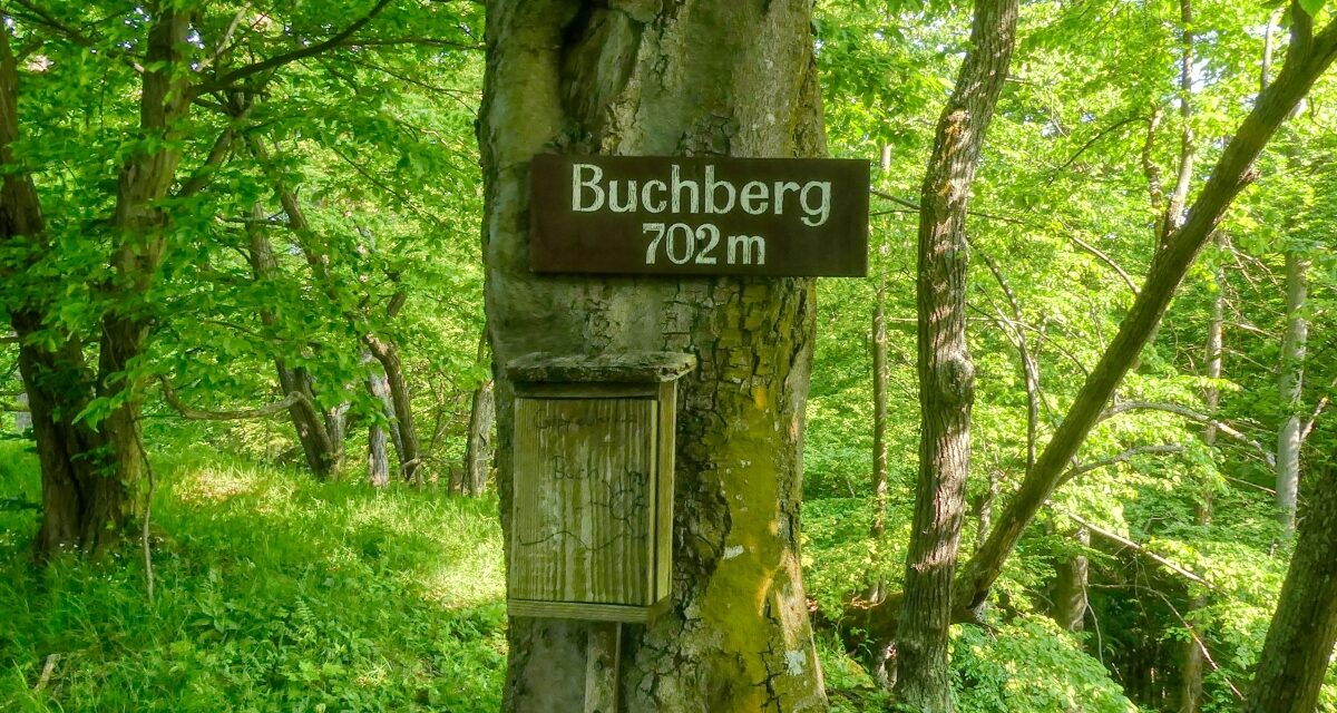 Der Buchberg-Rundweg in Spitz