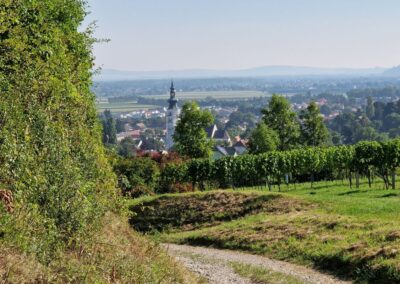 Der Weinwanderweg in Königstetten