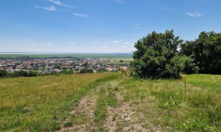 Die Entdecker-Route “Die Purbacher Heide”