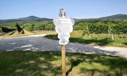 Der Bewusstseinslehrpfad des Dorferneuerungsvereins Sooß