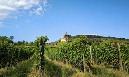 Der “Tut gut!”-Schritteweg “Gesundes Sooß”
