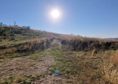 Der Kalvarienbergweg in Neusiedl am See