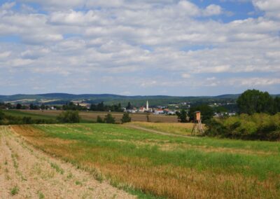 Lauf- und Nordic Walking-Park Markt St. Martin - Basisstrecke B