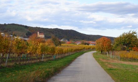 Die Nordic Walking-Strecke Donnerskirchen 1